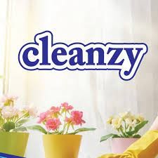 Cleanzy