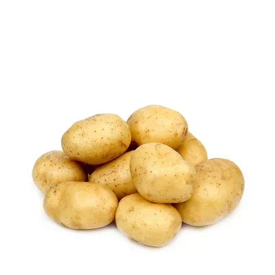 Potato Regular 1 kg